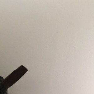 Meet your Posher, Miles